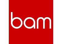 BAM Strategy BAM Strategy